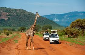 Kenya. Mombasa, Masai Mara, Diani. 8 days.