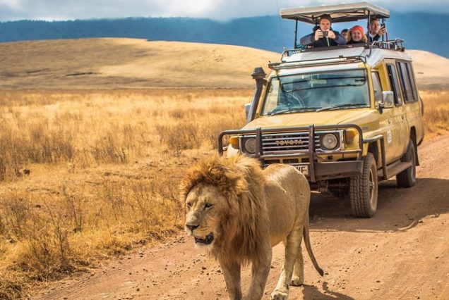 Tanzania. Best Parks. 7 days.