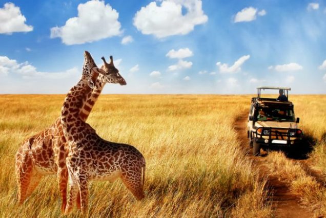 Tanzania. Ngorongoro Crater and Lake Manyara National Park. 3 Days.