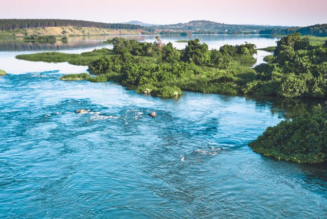 Uganda and Kenya – from Lake Victoria to Indian Ocean. 13 days.